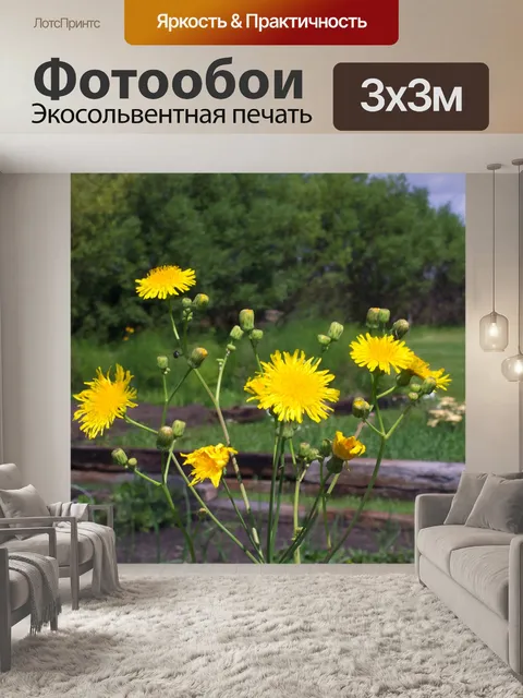 Фотообои Желтые Полевые цветы