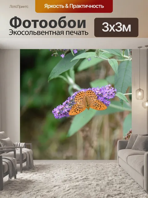 Фотообои Бабочка