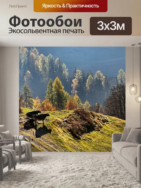 Фотообои Крупный рогатый скот