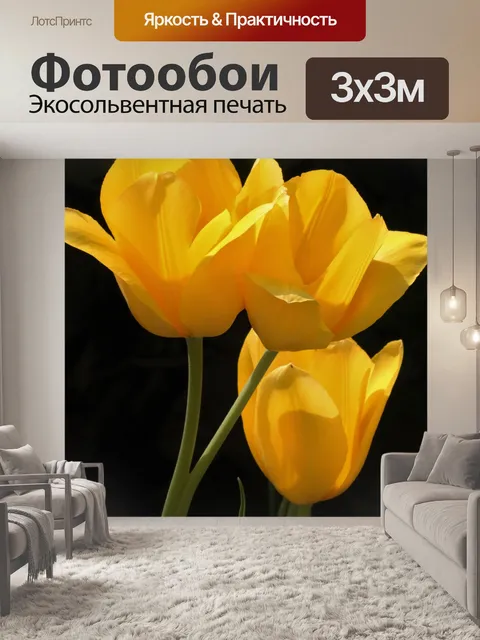 Фотообои Три желтых тюльпана на черном