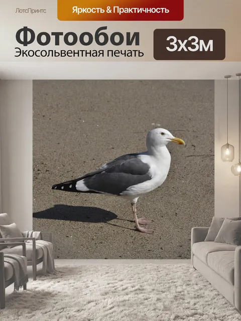 Фотообои Чайка на песке