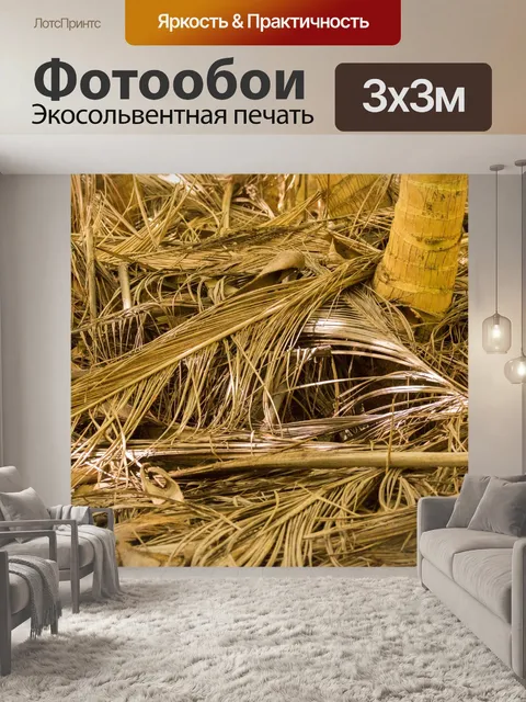 Фотообои пальма лес этаж