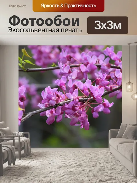 Фотообои Редбад арканзас цветет