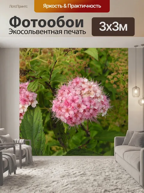 Фотообои Цветы