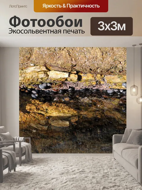 Фотообои Морские Улитки на Rock