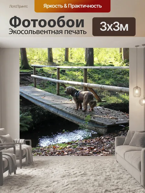 Фотообои Сеть