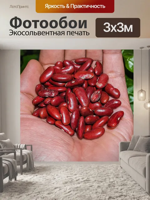 Фотообои Красные бобы
