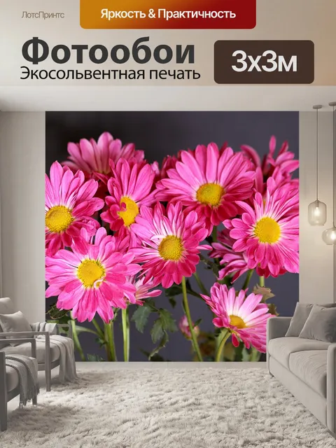 Фотообои Розовые хризантемы Натюрморт