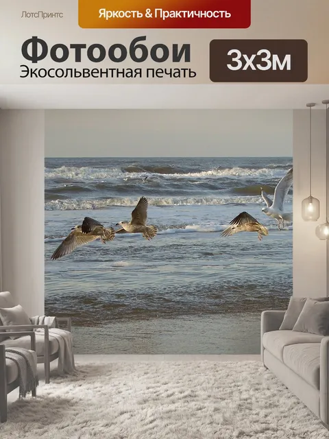 Фотообои Чайки