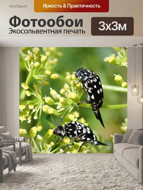 Фотообои Насекомые