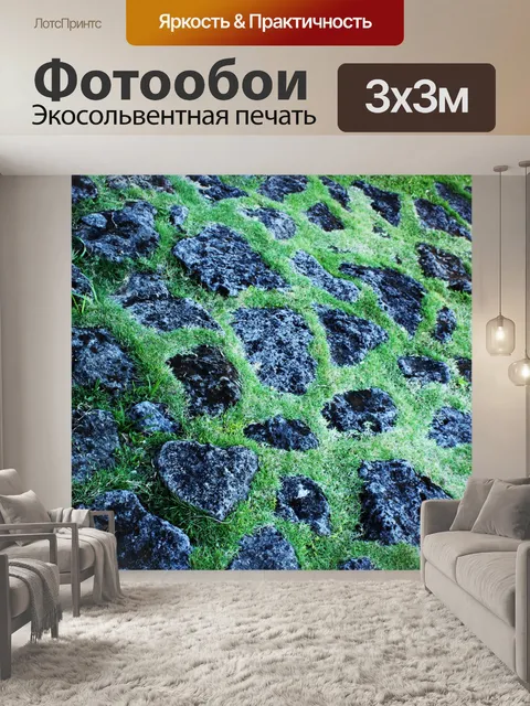 Фотообои черного камня и травы картины