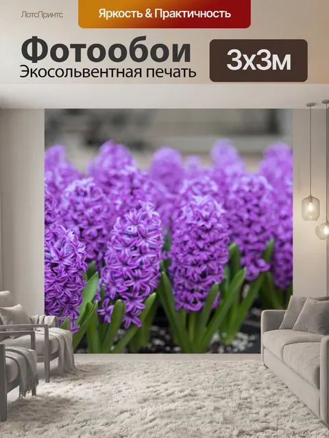 Фотообои гиацинт Цветы