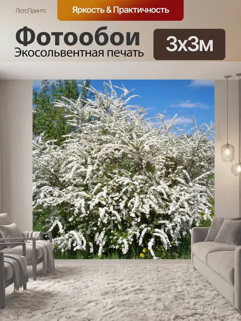 Фотообои Свадебный венок Spirea