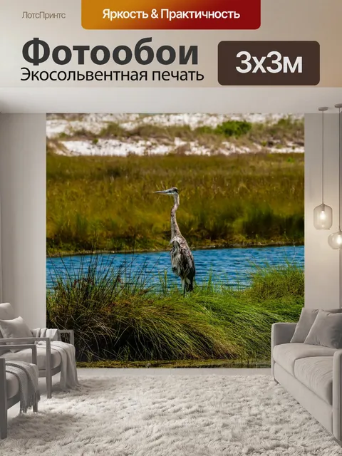 Фотообои Blue Heron в Эверглейдс