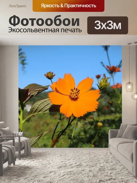 Фотообои Синее небо
