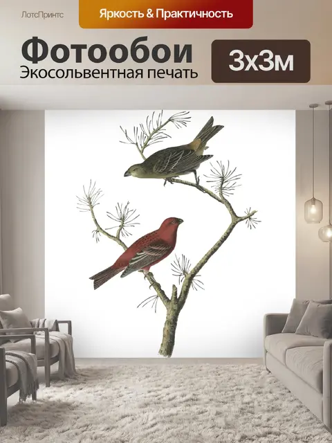 Фотообои Птицы