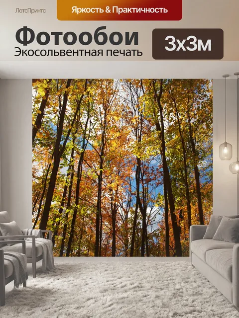 Фотообои Солнечный Вудс