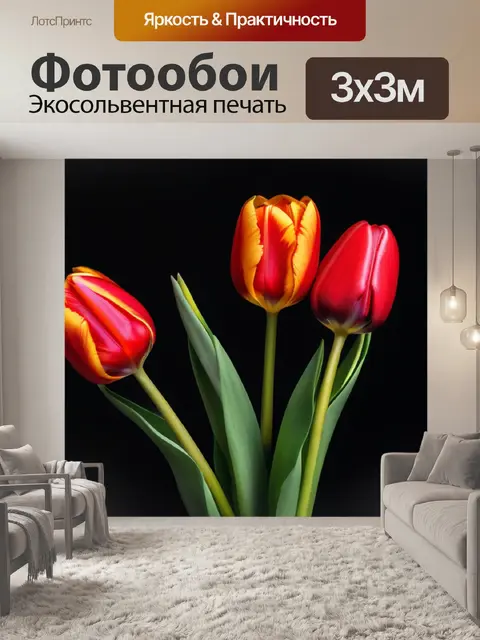 Фотообои красный пепел и тюльпаны на черном фоне