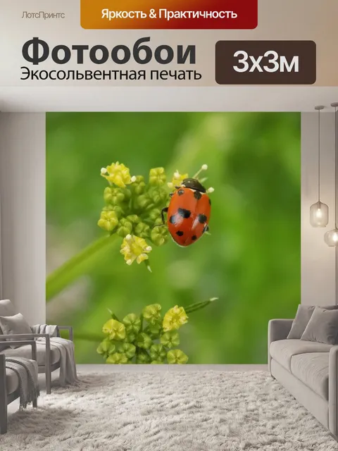 Фотообои Божья коровка