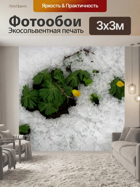 Фотообои Луг