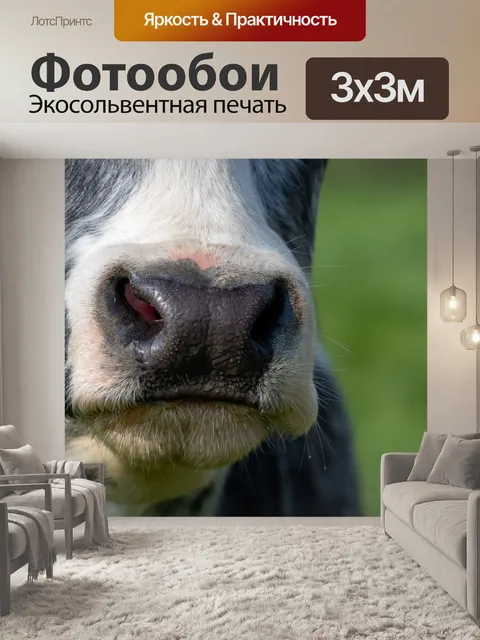 Фотообои Морда коровы, ноздри, крупный план