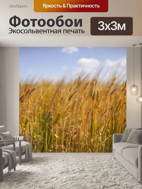 Фотообои Пшеница