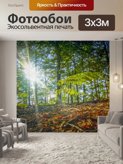 Фотообои Зеленый папоротник