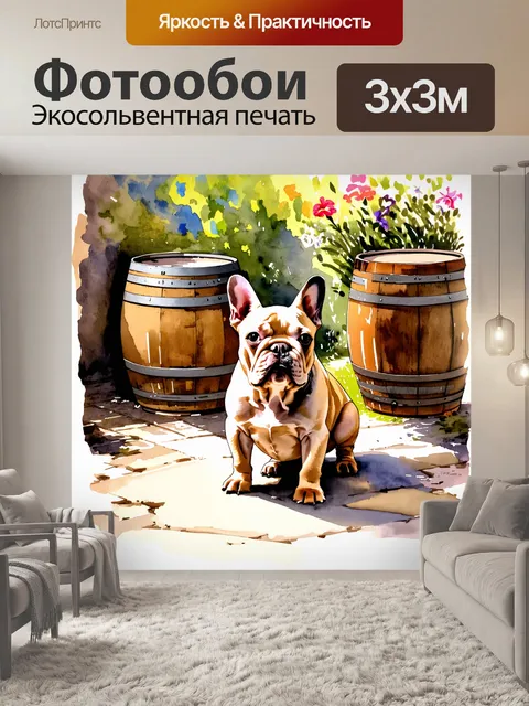 Фотообои французский бульдог в деревенском дворике, исследующий старые бочки и цветы