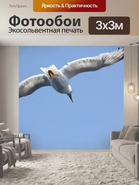 Фотообои Летать