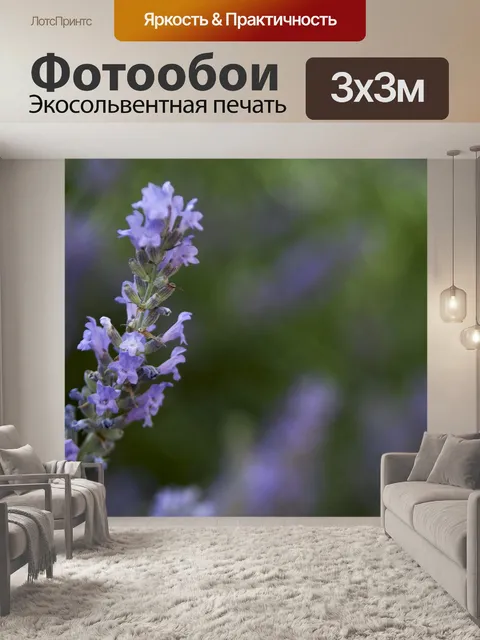 Фотообои Цветок