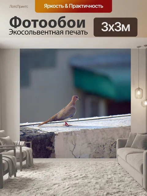 Фотообои Кольцо шеей голубь