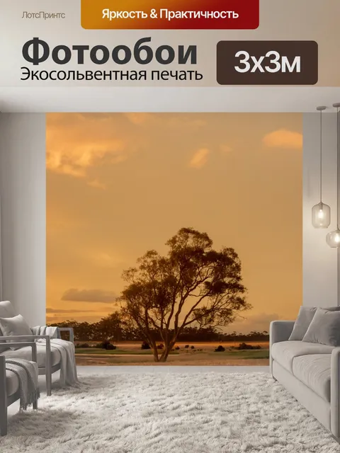 Фотообои Австралийская Inland Горячая Саммерс Ноч
