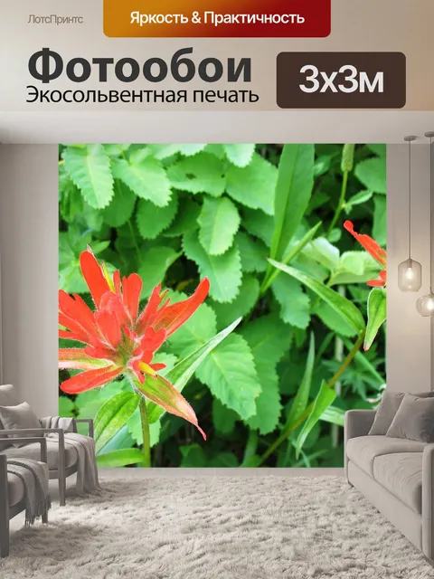 Фотообои Индийская кисть