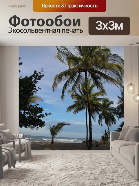 Фотообои Кокосовая пальма