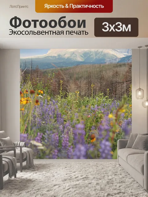 Фотообои Дикие цветы луг