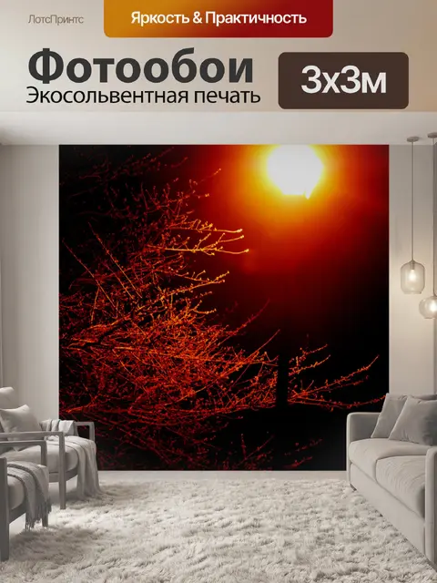 Фотообои Дерево и лампы сообщение