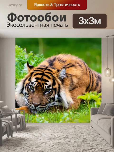 Фотообои Тигр