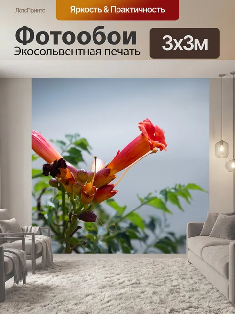 Фотообои Цветок трубы