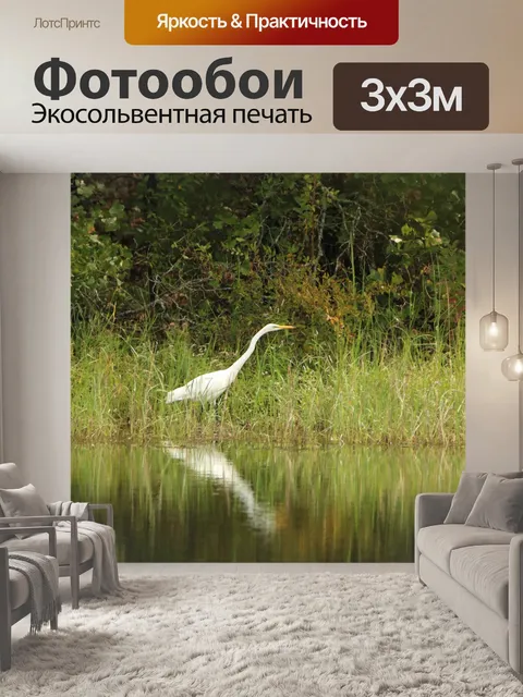 Фотообои Большая белая цапля и отражение