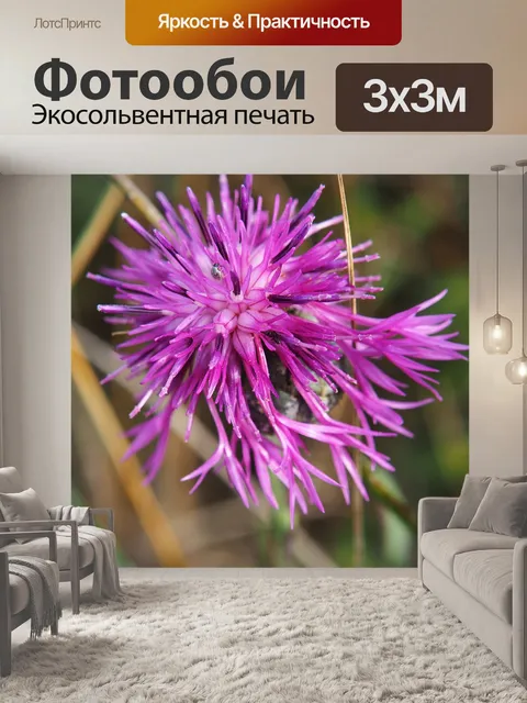 Фотообои Цветок