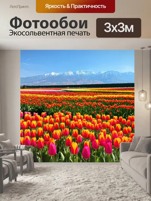 Фотообои турция, весенние поля с тюльпанами, яркие цвета цветных цветов, впечатляющие горы на горизонте, солнечный день