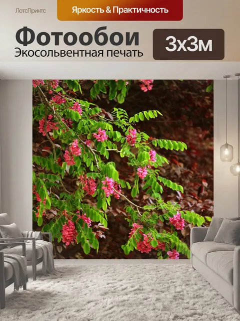 Фотообои Ветвь