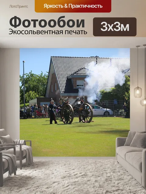 Фотообои Пушка