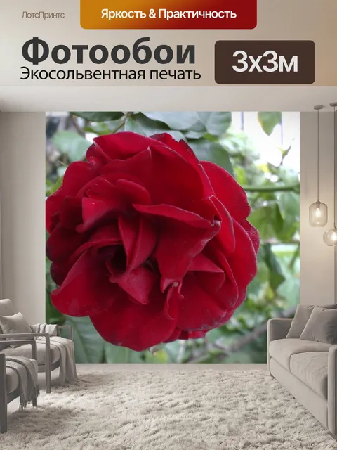Фотообои Красный Куст