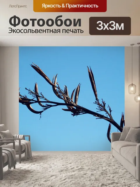 Фотообои Лен цветок