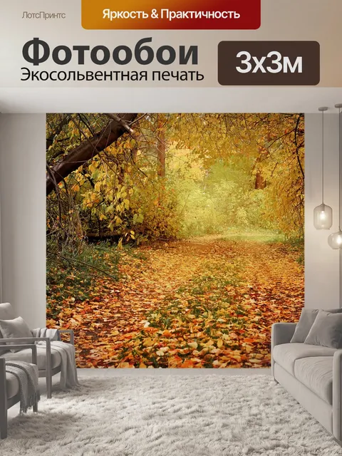 Фотообои Осенний путь в лесу
