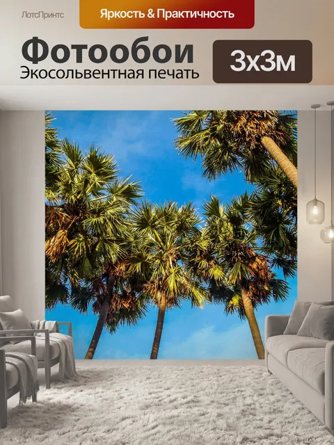 Фотообои Сахарная пальма