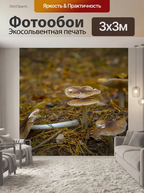 Фотообои грибы