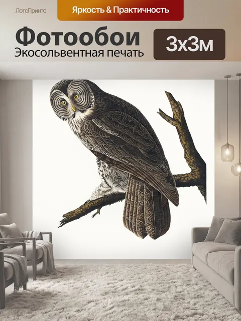 Фотообои Сова Винтаж плакат искусство