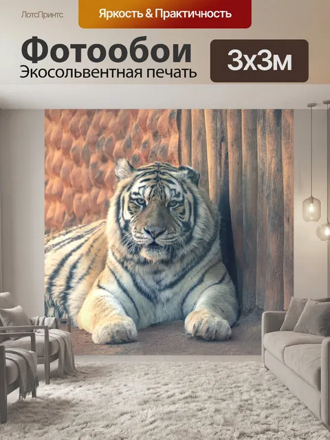 Фотообои Тигр
